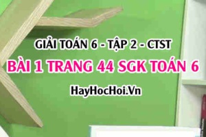 Giải bài 1 trang 44 Toán 6 Tập 2 SGK Chân trời sáng tạo